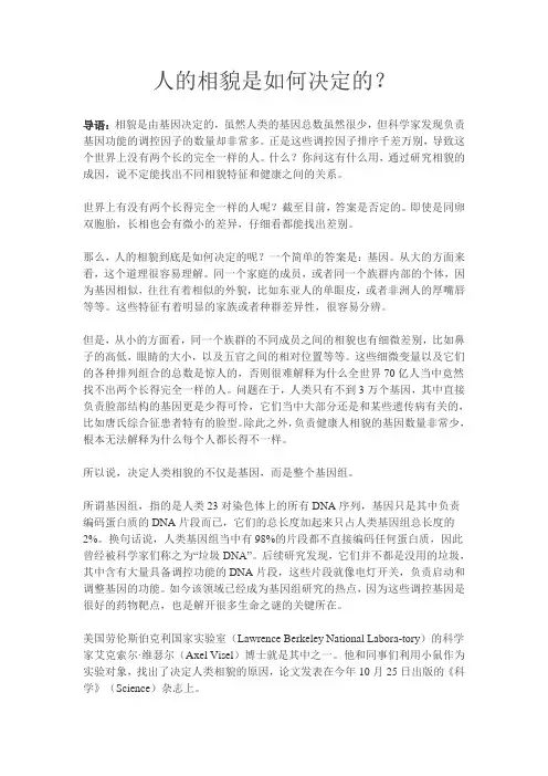 人的相貌是如何决定的