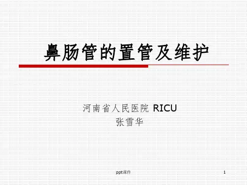 鼻肠管的护理56550