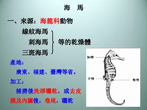 (中药鉴定学)动物类中药
