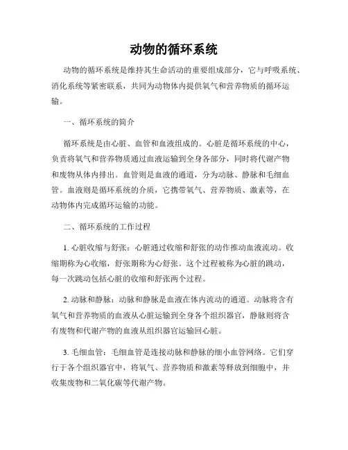 动物的循环系统
