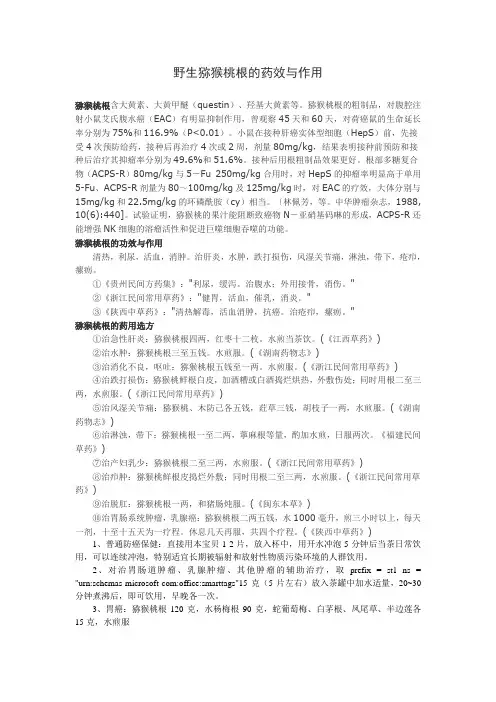 野生猕猴桃根的药效与作用