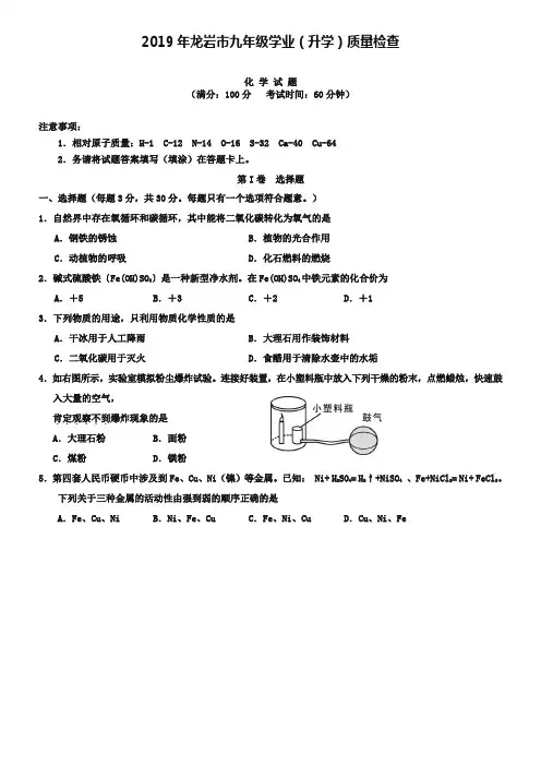 福建省龙岩市2019届九年级学业(升学)质量检查化学试题及答案