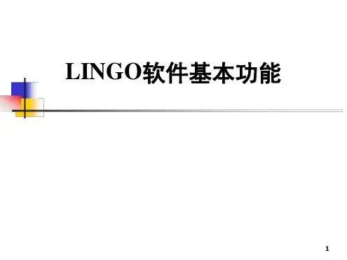 LINGO软件基本功能