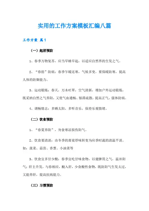 实用的工作方案模板汇编八篇