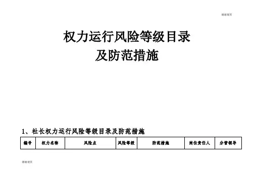 权力运行风险等级目录及防范措施及防范措施.doc