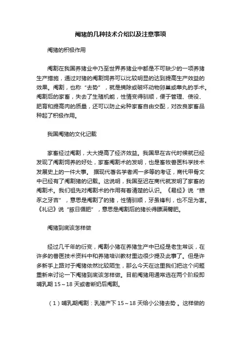 阉猪的几种技术介绍以及注意事项