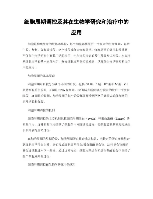 细胞周期调控及其在生物学研究和治疗中的应用