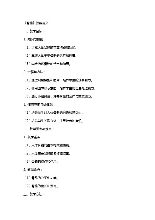 《骨骼》教案范文