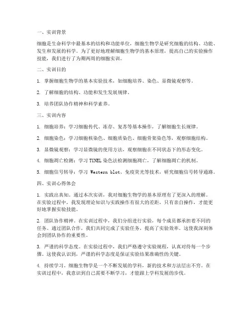 细胞实训报告心得体会总结