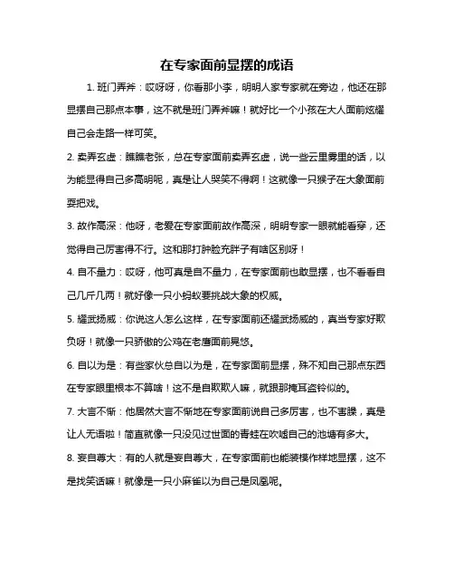 在专家面前显摆的成语