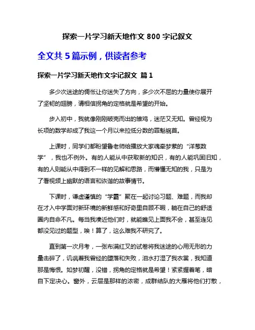探索一片学习新天地作文800字记叙文