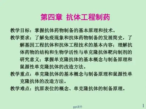 抗体工程制药  ppt课件