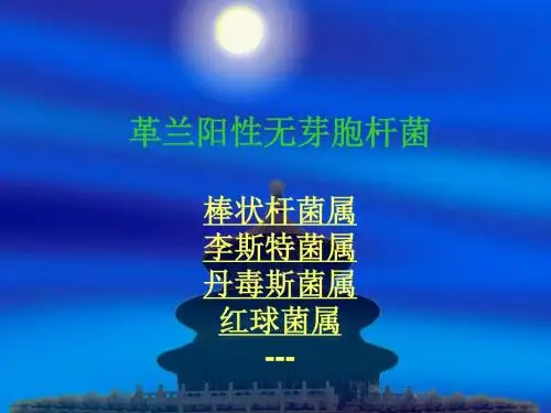 阳性杆菌