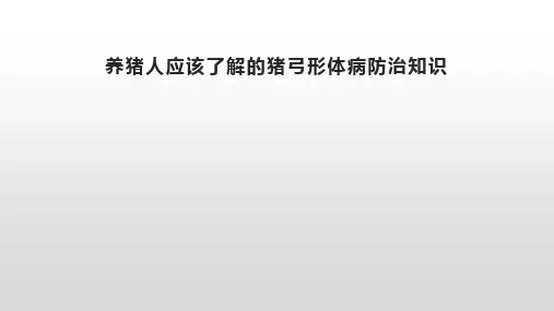 养猪人应该了解的猪弓形体病防治知识