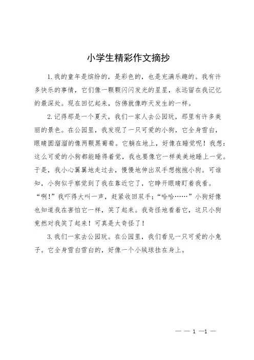 小学生精彩作文摘抄