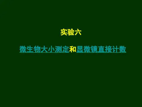 实验六微生物大小测定