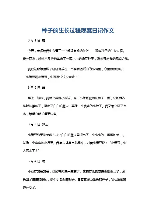 种子的生长过程观察日记作文