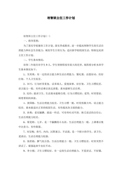 培智班主任工作计划