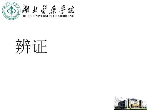 【中医学】辨证PPT课件