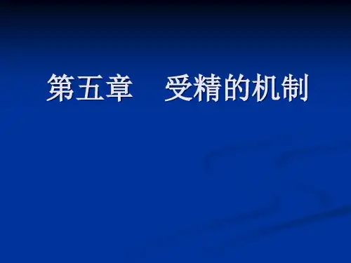 浙师大《发育学》课件 第五章_受精的机制
