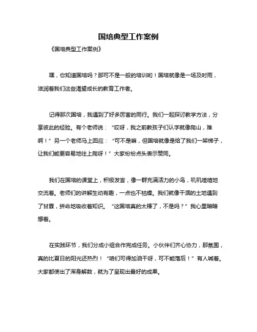 国培典型工作案例