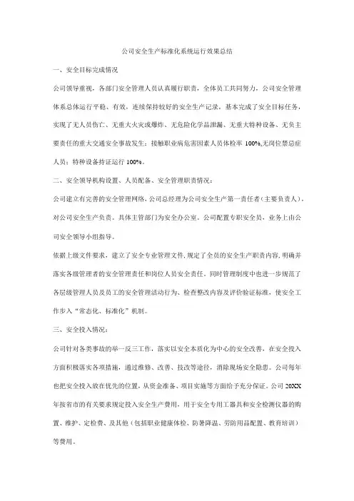 公司安全生产标准化系统运行效果总结