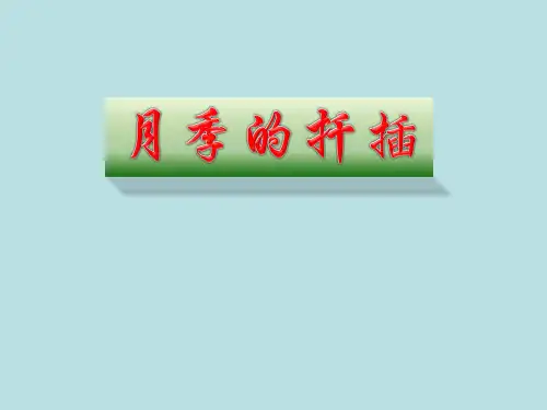 五年级综合实践活动课件-月季的扦插 全国通用(共21张PPT)