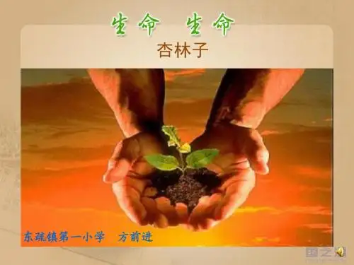生命生命说课课件