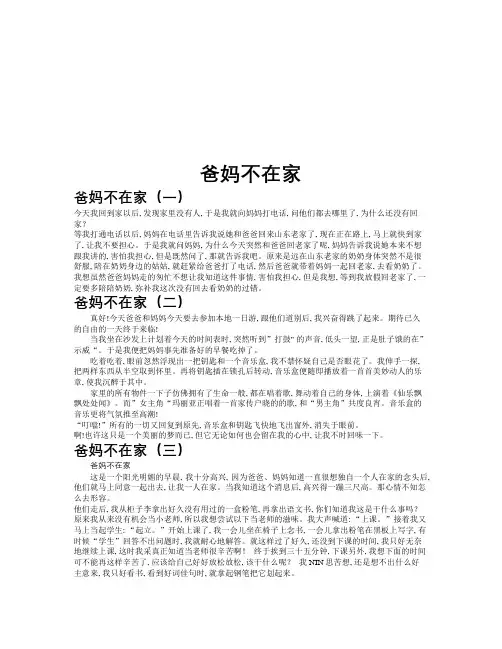 爸妈不在家作文共九篇
