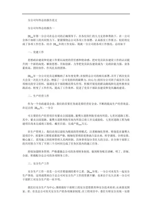 2020年分公司年终总结报告例文