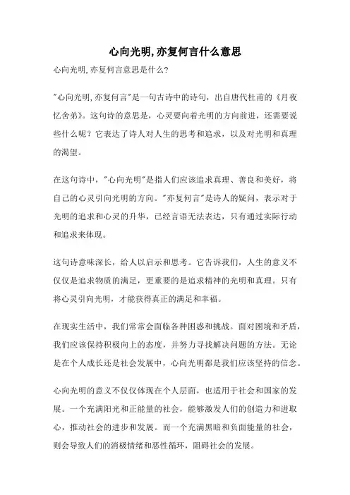 心向光明,亦复何言什么意思