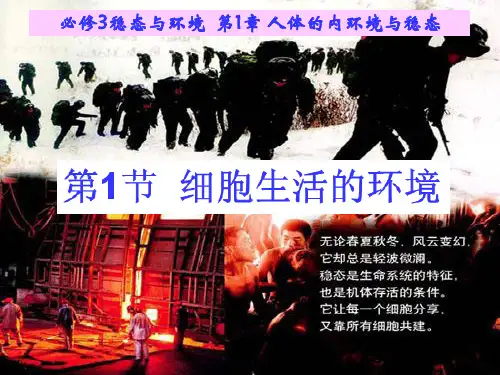 人教版高中生物必修三第一章第一节  细胞生活的环境(共22张PPT)