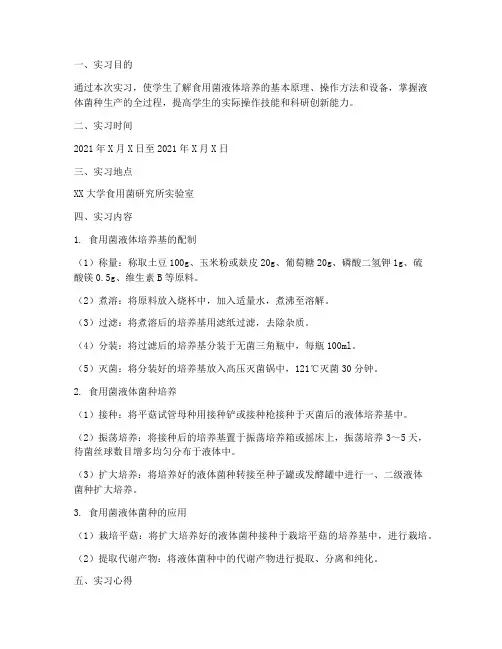 食用菌液体培养实习报告