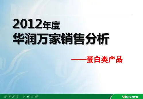 华润万家数据分析2012年(数值版)