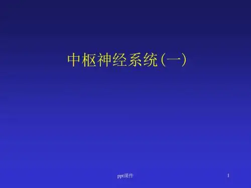 影像中枢(CT与MRI)  PPT课件