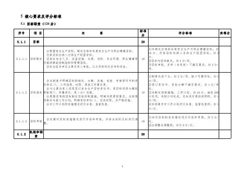 电力勘测设计企业安全生产标准化评价标准(2020年版)