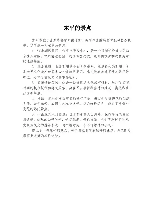 东平的景点