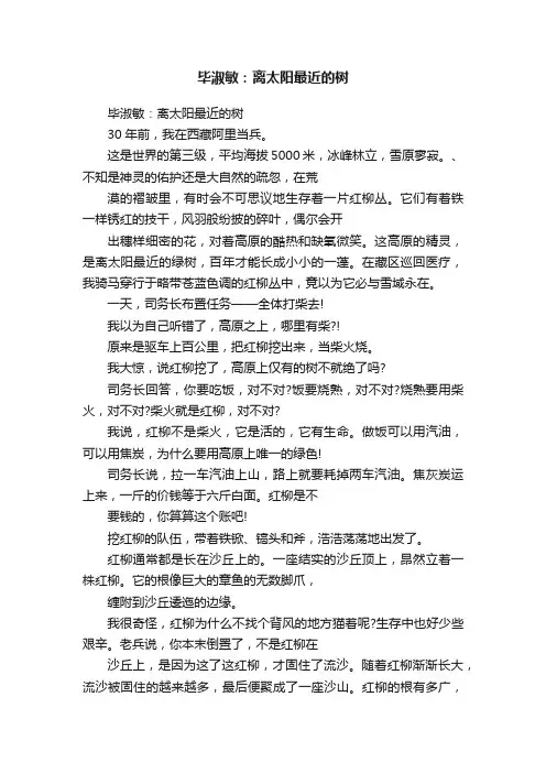 毕淑敏：离太阳最近的树