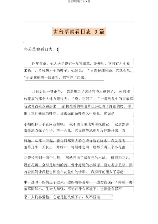含羞草观察日记9篇