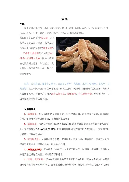 天麻的实用知识