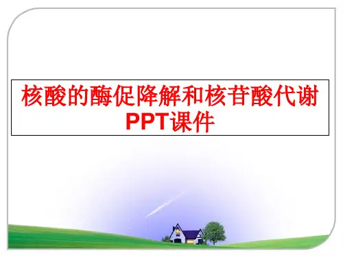 最新核酸的酶促降解和核苷酸代谢PPT课件