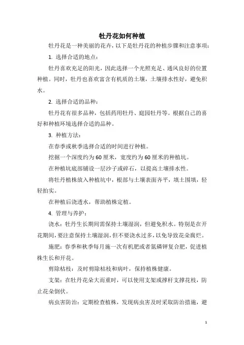牡丹花如何种植