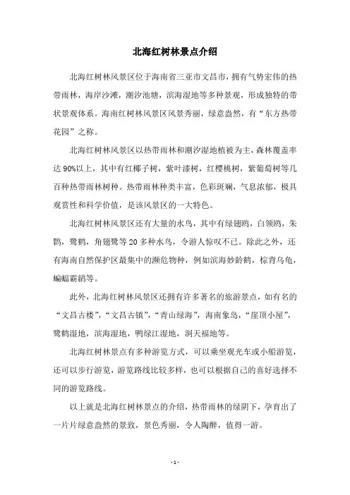 北海红树林景点介绍