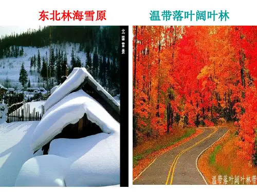 苏教版初二地理上册《第二节北方地区和南方地区》