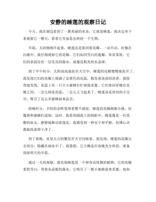 小学三年级作文安静的睡莲的观察日记