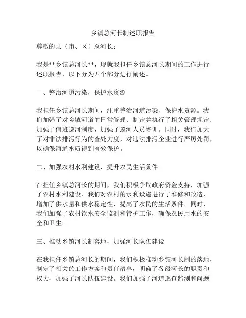 乡镇总河长制述职报告