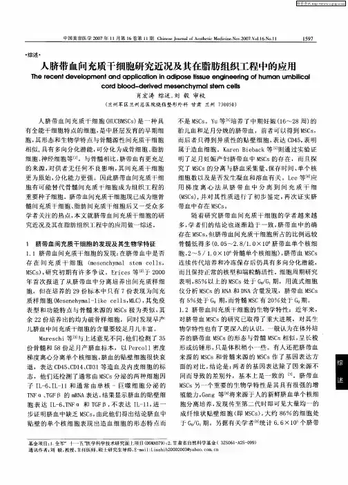 人脐带血间充质干细胞研究近况及其在脂肪组织工程中的应用