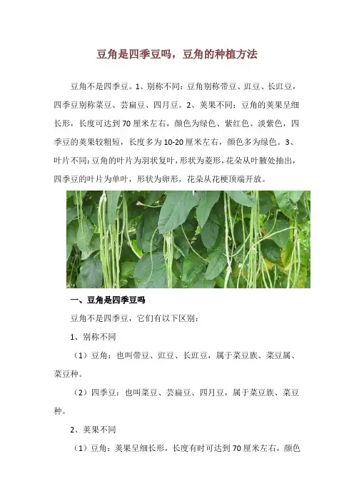 豆角是四季豆吗,豆角的种植方法
