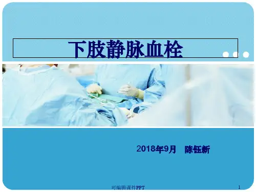 下肢静脉血栓ppt课件