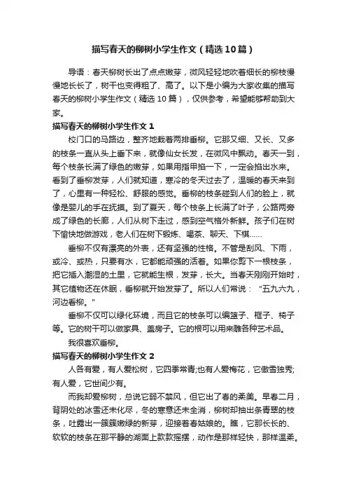 描写春天的柳树小学生作文（精选10篇）